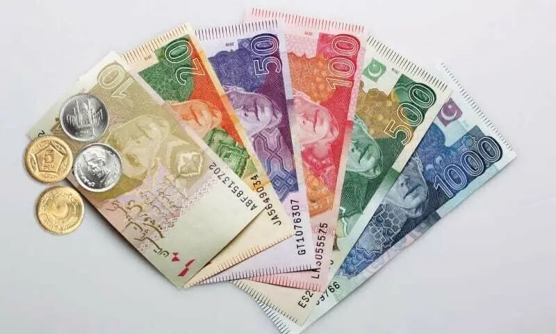 Pakistani Currencies