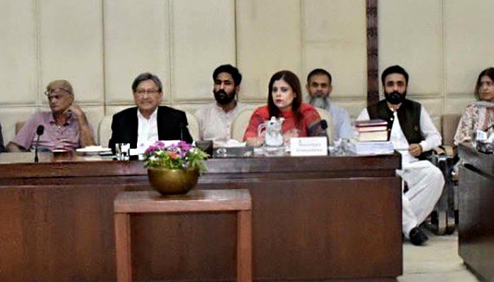 The image shows Senator Farooq Hamid Naek chairing the meeting of the Senate Standing Committee on Law and Justice