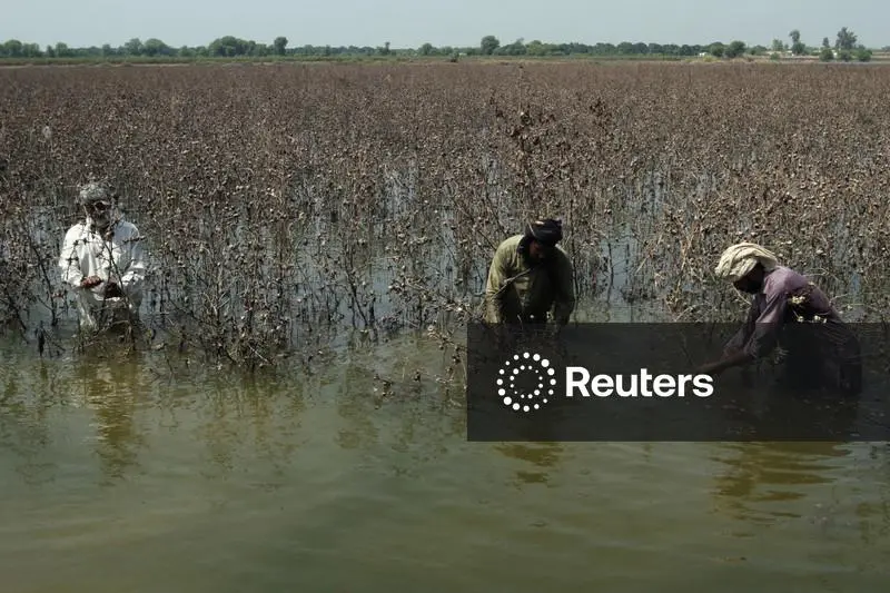 Pakistan floods batter fields