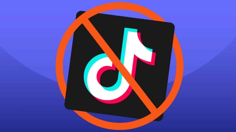 Resolution Submitted in Punjab Assembly Seeking Ban on TikTok