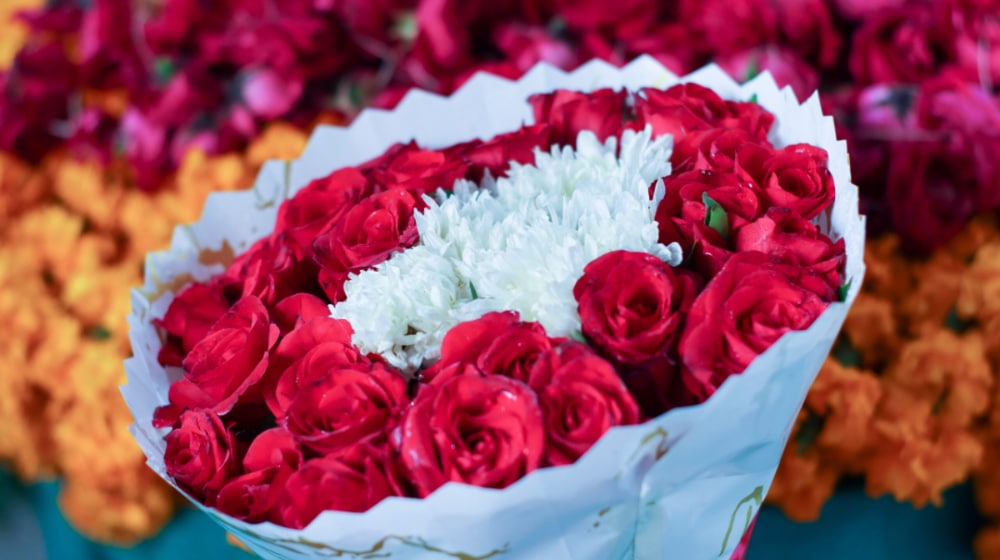 Pakistani Scientists Create New and Unique Variety of Rose